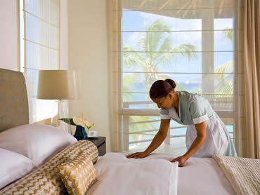 School & Universities